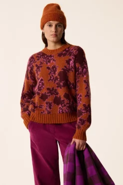 Pull Begonia|Des Petit Hauts New